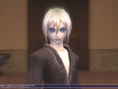 FFXI édition 2008 annoncé