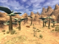 FFXI édition 2008 annoncé
