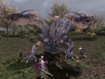 FFXI édition 2008 annoncé