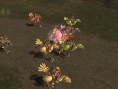 FFXI édition 2008 annoncé