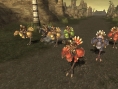 FFXI édition 2008 annoncé