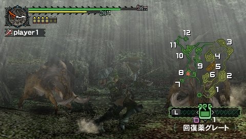 Monster Hunter Freedom en Amérique