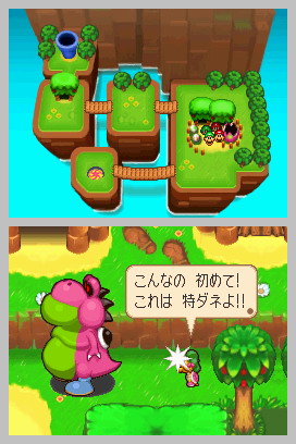 Deux superstars sur Nintendo DS