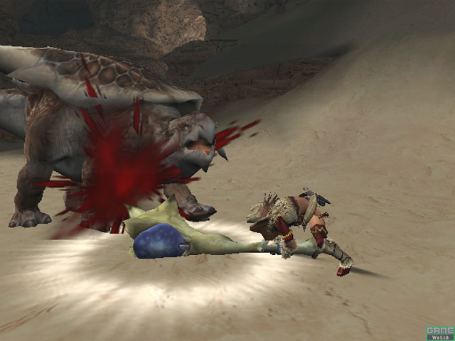 Monster Hunter 2 en plein combat