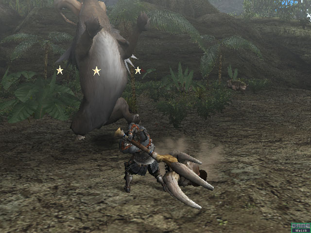 Monster Hunter 2 en plein combat