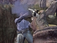 Call of Juarez sort son colt