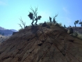 Call of Juarez au Far-West