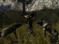 Call of Juarez se précise