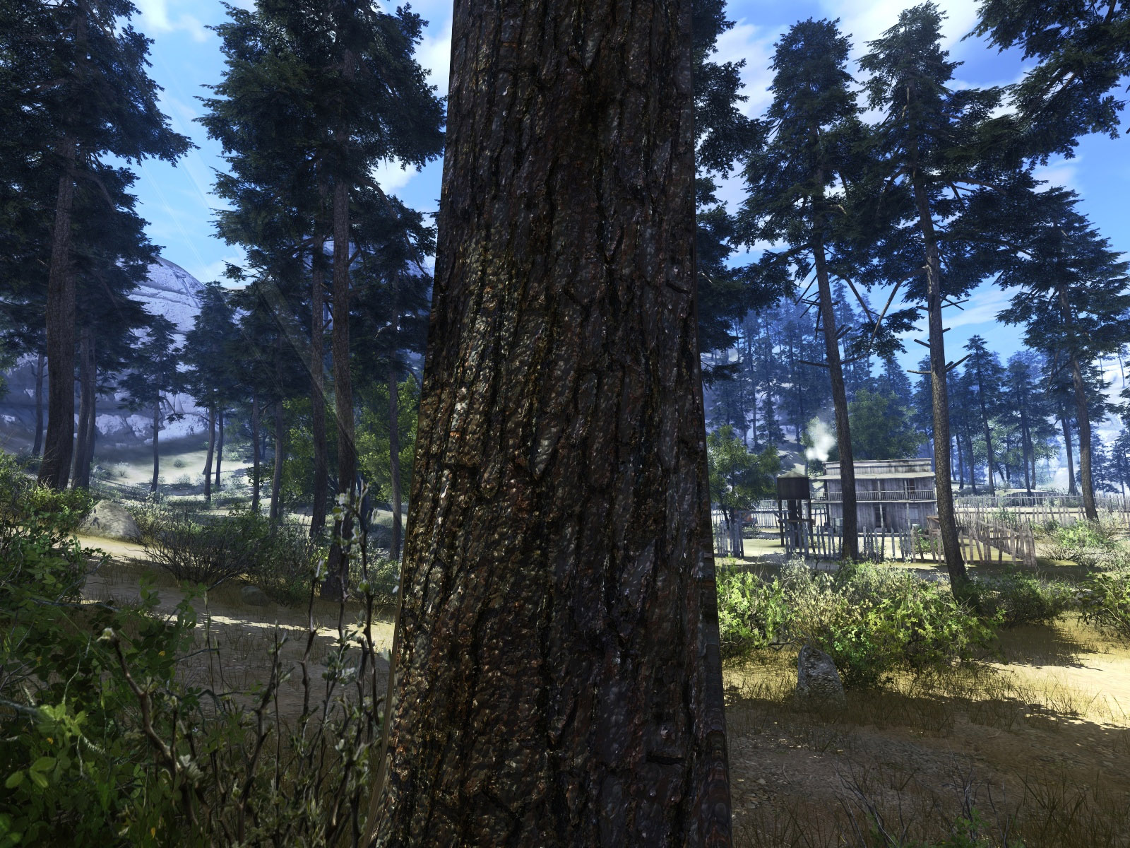 Call of Juarez sous DirectX 10