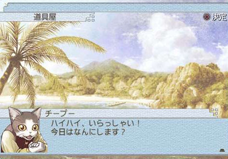 Suikoden Tactics en quelques images
