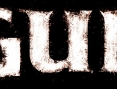 Gun