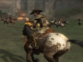 Gun
