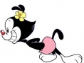 Les Animaniacs débarque sur DS
