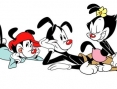 Les Animaniacs débarque sur DS