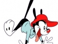 Les Animaniacs débarque sur DS
