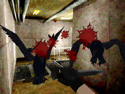 Resident Evil DS en images