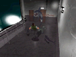 Resident Evil DS en images