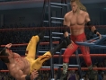 SmackDown ! Vs. RAW dans la cage