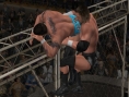 SmackDown ! Vs. RAW dans la cage