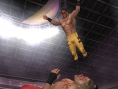 SmackDown ! 2006