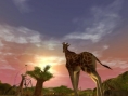 RCT 3 : Wild !, encore un add-on