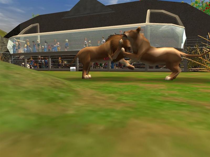 RCT 3 : Wild ! se montre à nouveau