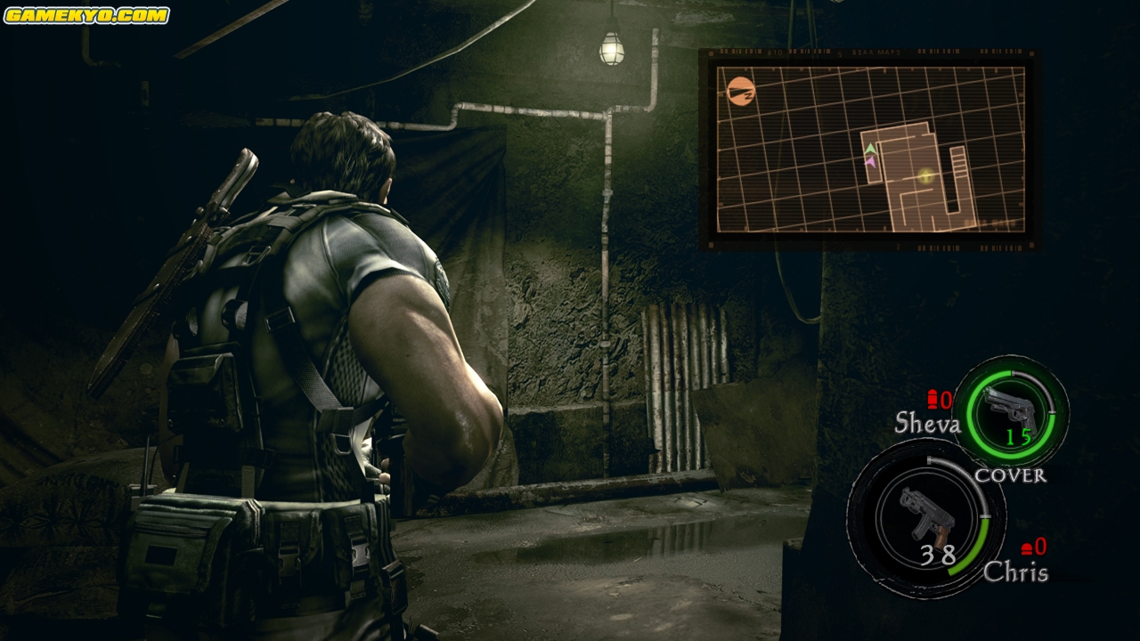 Resident Evil 5 : déluge d'images
