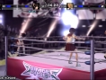 Rumble Roses Double XX en équipe
