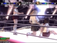Rumble Roses Double XX en équipe