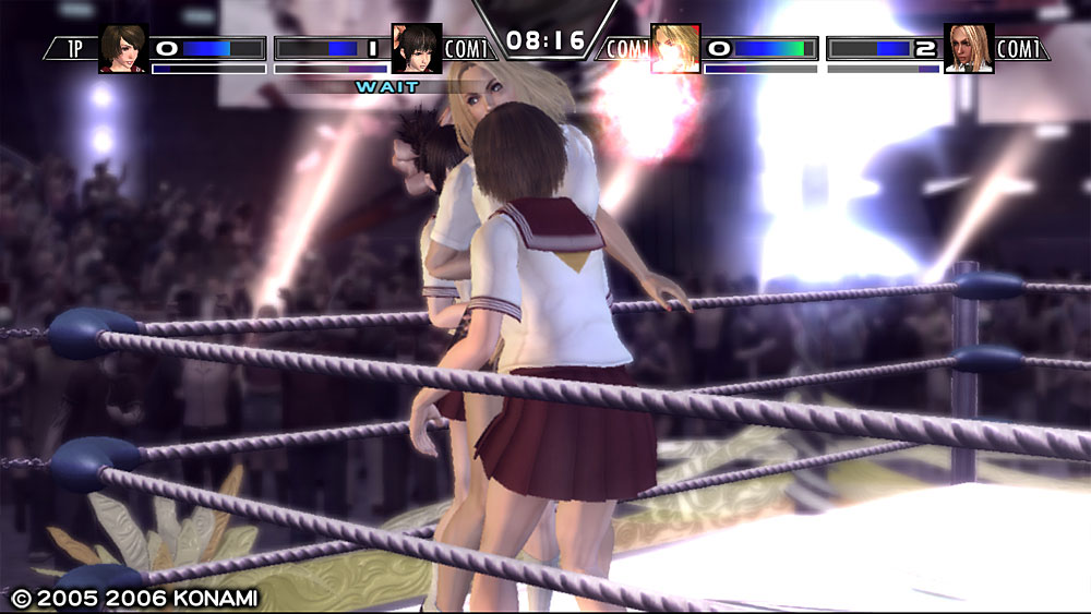 Rumble Roses Double XX en équipe