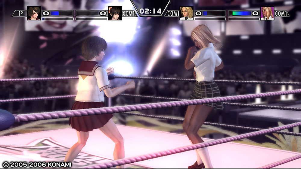 Rumble Roses Double XX en équipe