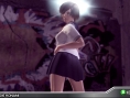 Rumble Roses Double XX en équipe