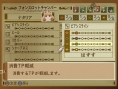 Tales of The Abyss : les options