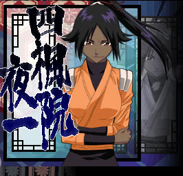 Bleach Heat The Soul 2 se dévoile