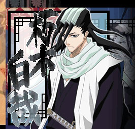 Bleach Heat The Soul 2 se dévoile