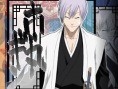 Bleach Heat The Soul 2 se dévoile