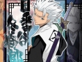 Bleach Heat The Soul 2 se dévoile