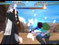Bleach Heat The Soul 2 se dévoile