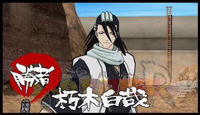 Bleach Heat The Soul 2 se dévoile