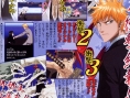Bleach DS en images