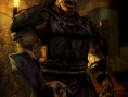 Dark Messiah of M&M : les persos