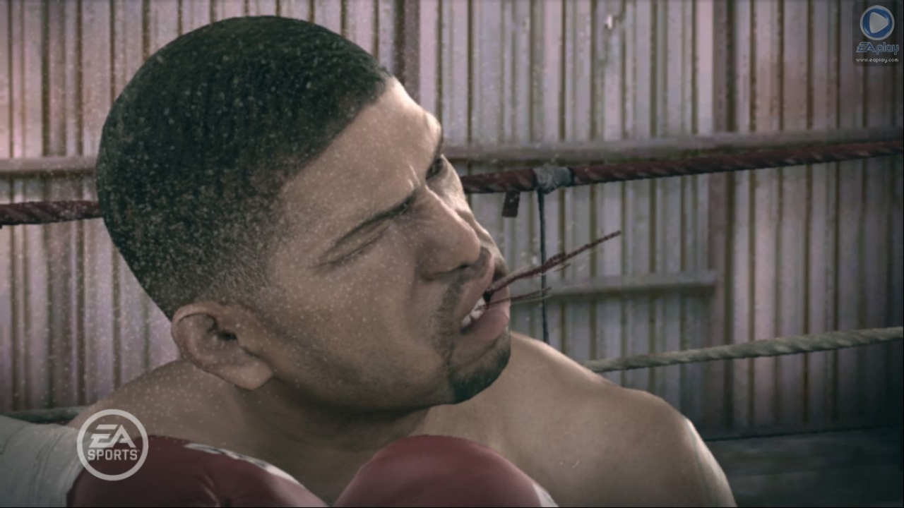 Fight Night Round 3 dans les cordes