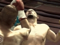 Fight Night Round 3 dans les cordes