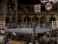 Fight Night Round 3 sur le ring