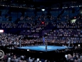 Fight Night Round 3 sur le ring