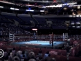 Fight Night Round 3 sur le ring