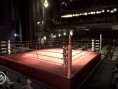 Fight Night Round 3 sur le ring
