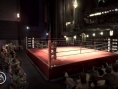 Fight Night Round 3 sur le ring