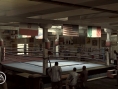 Fight Night Round 3 sur le ring