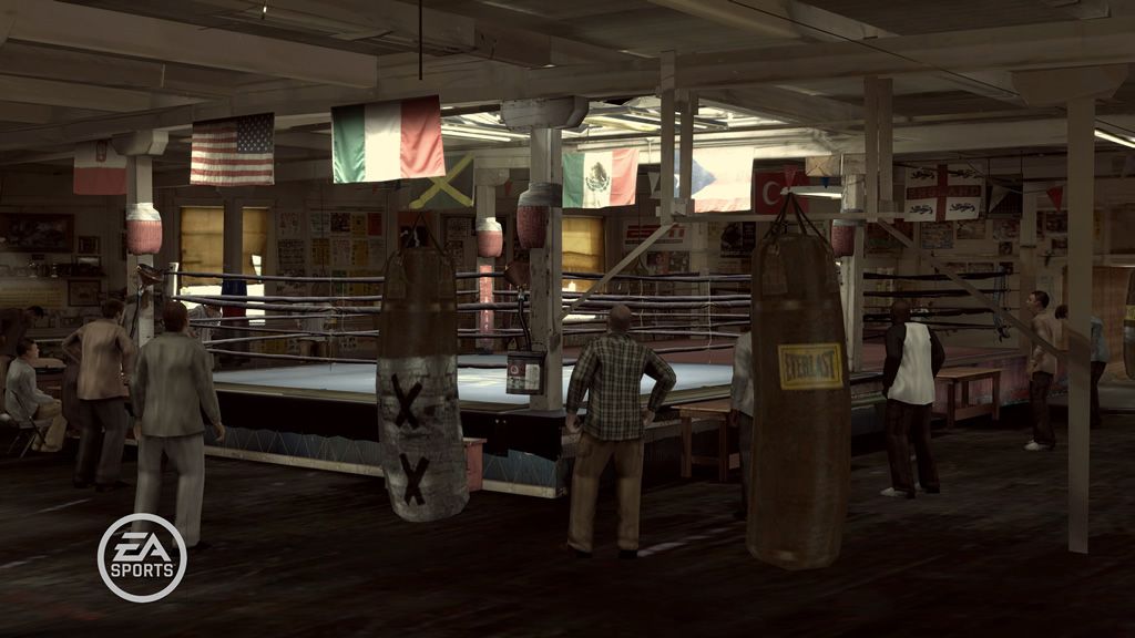 Fight Night Round 3 sur le ring